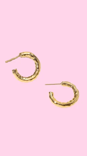 Chic Gold Hoops